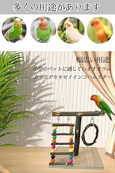 Amazon | 天然木 スタンド 鳥止まり木 インコ オウム 爪研ぎ